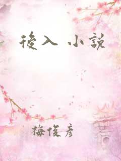 后入 小说