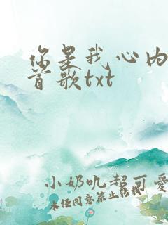 你是我心内的一首歌txt