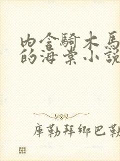 内含骑木马情节的海棠小说男主