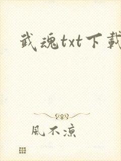 武魂txt下载