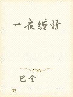 一夜缠情