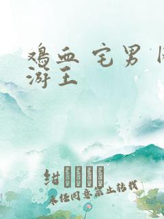 鸡血 宅男 网游王