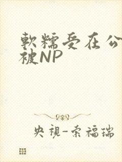 软糯受在公交车被NP