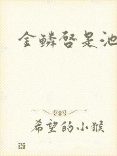 金鳞启是池中物