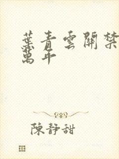 叶青云关禁闭一万年