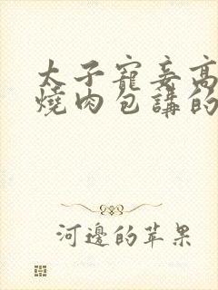 太子宠妾高肉红烧肉包讲的什么