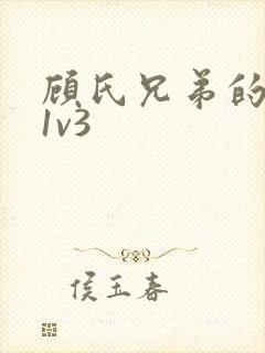 顾氏兄弟的南宁1v3