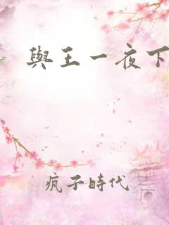 与王一夜下载