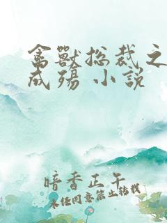 禽兽总裁之虐爱成殇 小说