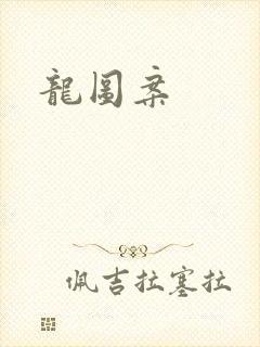 龙图案
