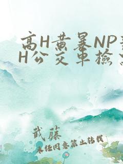高H黄暴NP辣H公交车检票员