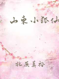 山东小狐仙