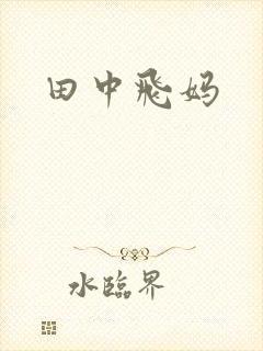 田中飞妈