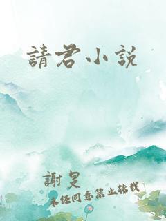 请君小说
