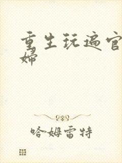 重生玩遍官场贵妇