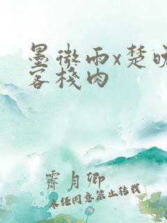 墨微雨x楚晚宁客栈肉