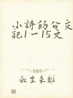 小诗的公交车日记1一15文