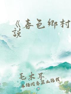 《春色乡村》小说