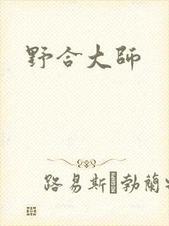 野合大师