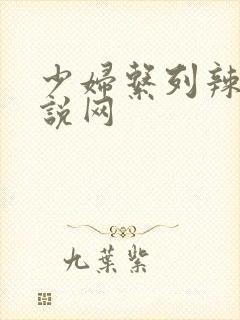 少妇系列辣文小说网