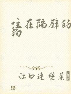 住在隔壁的小狼狗