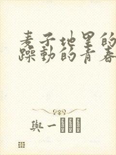 麦子地里的故事躁动的青春小说