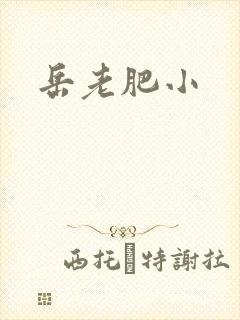 岳老肥小
