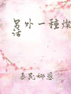 另外一种灿烂生活