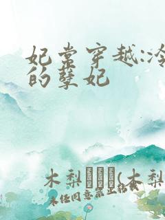 妃常穿越:冷王的孽妃