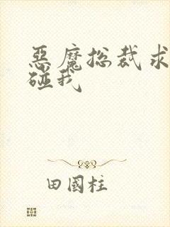 恶魔总裁求你别碰我