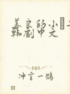 善良的小峓子2韩剧中文