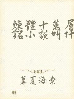 炼体十万层轩辕铭小说叫什么