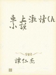 车上激情(h)小说