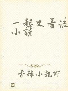 一起又看流星雨小说