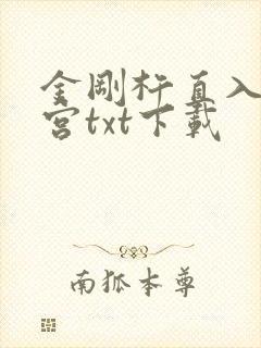 金刚杵直入莲花宫txt下载