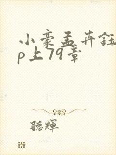 小豪孟卉钰慧三p上79章