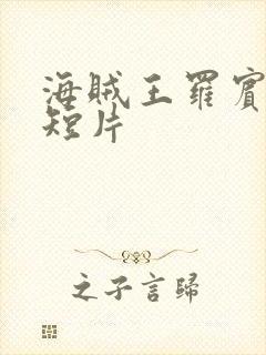 海贼王罗宾被h短片