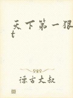 天下第一狠txt