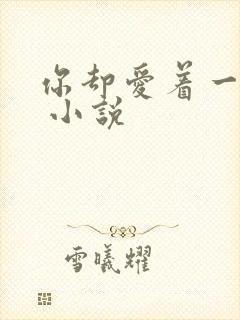 你却爱着一个他 小说