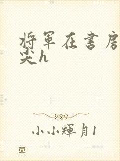 将军在书房含乳尖h