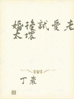 婚后试爱老公别太坏