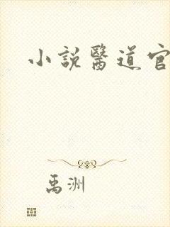 小说医道官途
