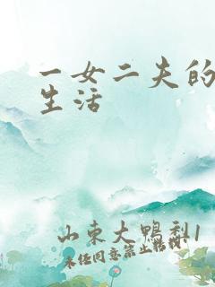 一女二夫的激情生活