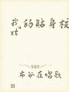 我的贴身校花txt