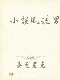 小说风流男护理