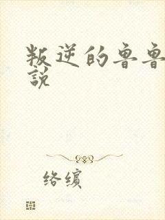 叛逆的鲁鲁修小说