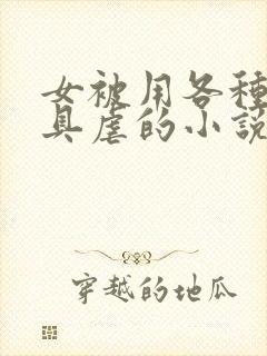 女被用各种性器具虐的小说