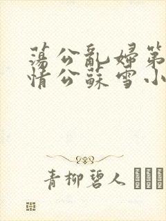 荡公乱妇第1章情公苏雪小说