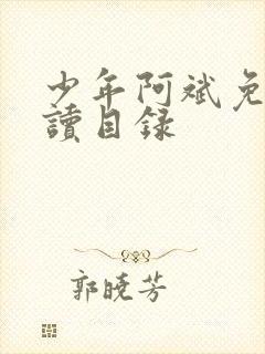 少年阿斌免费阅读目录