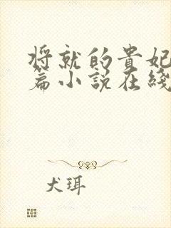 将就的贵妃重生篇小说在线阅读